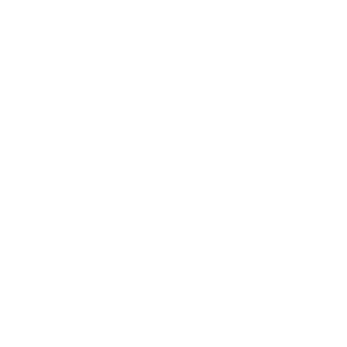 snowflake-image