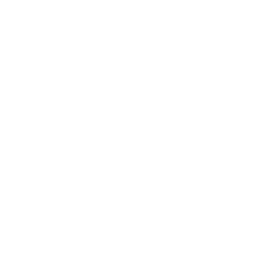 solo-snowflake-1